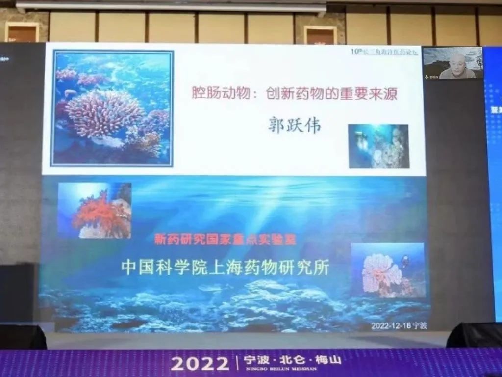 郭跃伟研究员作特邀报告.jpg