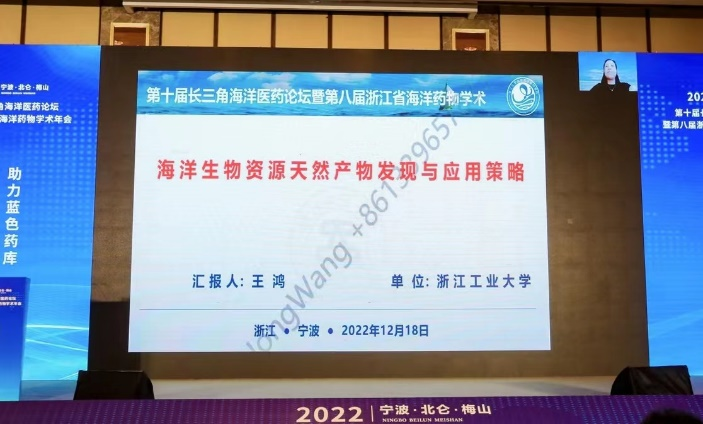 王鸿教授作特邀报告.png